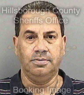 Velez David - Hillsborough County, Florida 