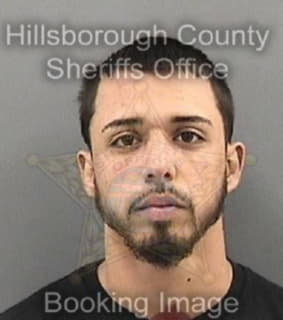 Mendoza David - Hillsborough County, Florida 