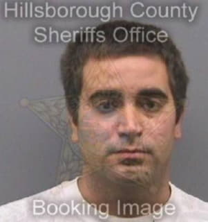 Diaz Omar - Hillsborough County, Florida 