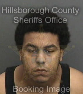 Lewis Orlando - Hillsborough County, Florida 