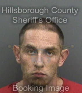 Davison Seth - Hillsborough County, Florida 