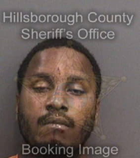 Williams Shaquille - Hillsborough County, Florida 