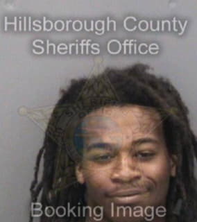 Louis Tavia - Hillsborough County, Florida 