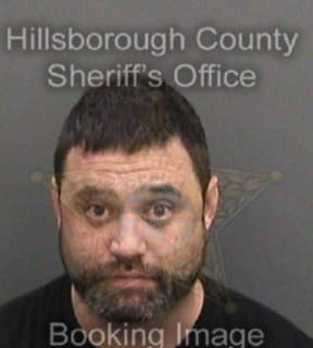 Patton David - Hillsborough County, Florida 