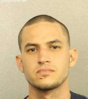 Trujillo Irving - Broward County, Florida 