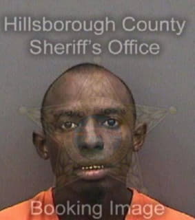 Little Marquise - Hillsborough County, Florida 