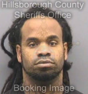 Viaud Joel - Hillsborough County, Florida 