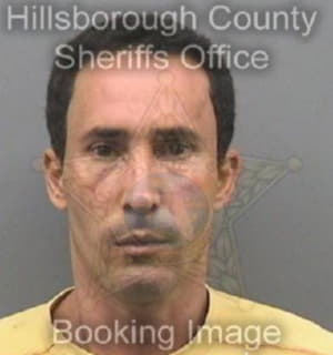 Rodriguezhidalgo Justo - Hillsborough County, Florida 