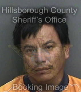 Chepech Pedro - Hillsborough County, Florida 