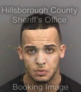 Rodriguez Carlos - Hillsborough County, Florida 