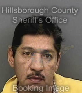 Alonsohernandez Jose - Hillsborough County, Florida 