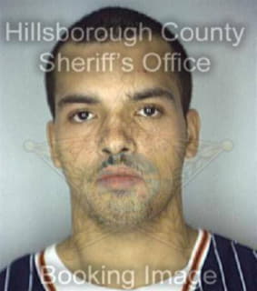 Vega Pedro - Hillsborough County, Florida 