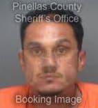 Mitchell Rocky - Pinellas County, Florida 