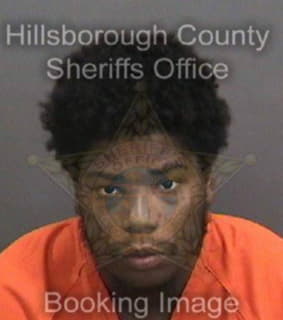 Woods Gregory - Hillsborough County, Florida 