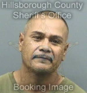 Martinez Martin - Hillsborough County, Florida 