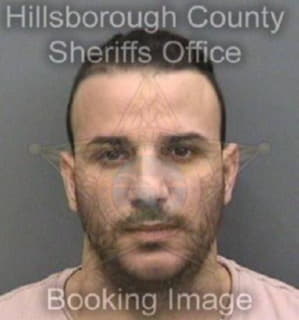 Lorenzogonzalez Yosbani - Hillsborough County, Florida 