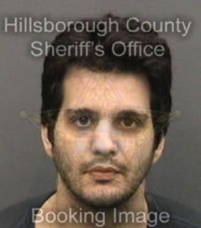 Klelman David - Hillsborough County, Florida 