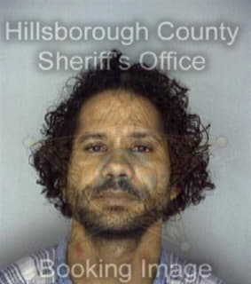 Levy David - Hillsborough County, Florida 