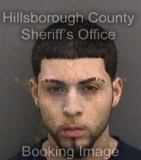 Cartagena Joseph - Hillsborough County, Florida 