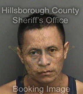 Vasquezbarrios Juan - Hillsborough County, Florida 