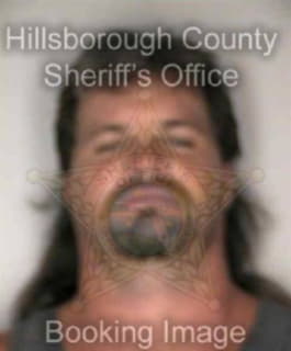 Olson Michael - Hillsborough County, Florida 