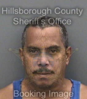 Pedroza Miguel - Hillsborough County, Florida 