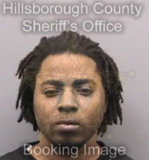 Ross Jason - Hillsborough County, Florida 