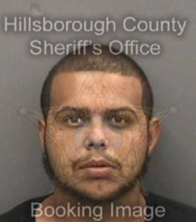 Miranda Luis - Hillsborough County, Florida 