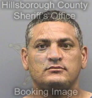 Diaz Roberto - Hillsborough County, Florida 