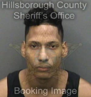 Perez Mynor - Hillsborough County, Florida 