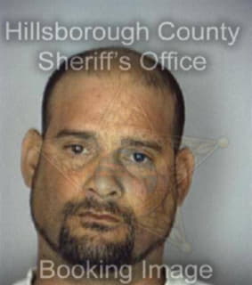 Albaladejo Ramon - Hillsborough County, Florida 