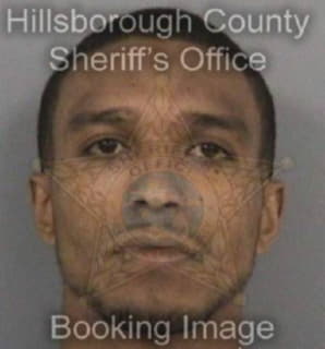 Diaz Ismael - Hillsborough County, Florida 