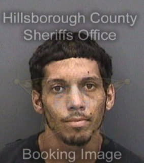 Reyes Yovonne - Hillsborough County, Florida 