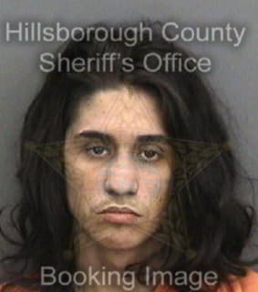 Ramos Carlos - Hillsborough County, Florida 