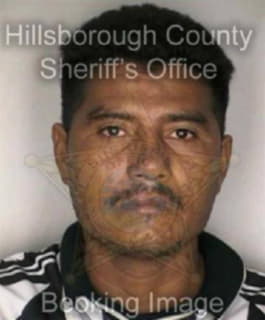 Rodriguez Jose - Hillsborough County, Florida 