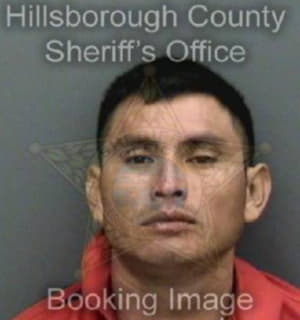 Andrew Beningno - Hillsborough County, Florida 