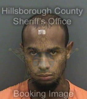 Johnson Christopher - Hillsborough County, Florida 