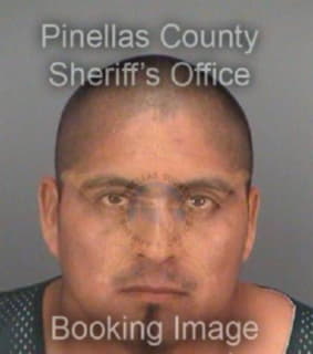 Martinez Jaime - Pinellas County, Florida 