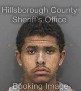 Kuhlman Michael - Hillsborough County, Florida 