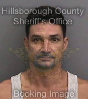 Ruizalvarez Cesar - Hillsborough County, Florida 