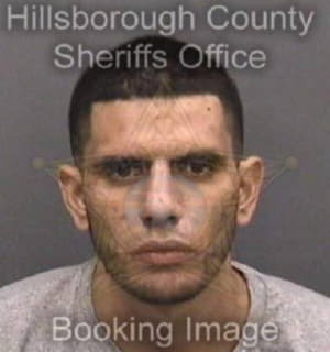 Perez George - Hillsborough County, Florida 