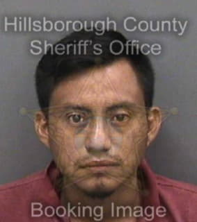 Perezlopez Husein - Hillsborough County, Florida 