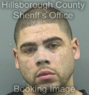 Rosario Jason - Hillsborough County, Florida 