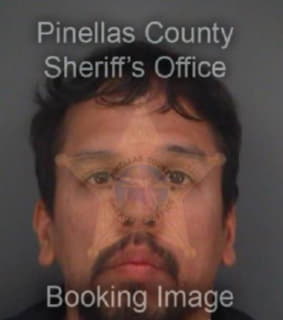 Deine Jose - Pinellas County, Florida 