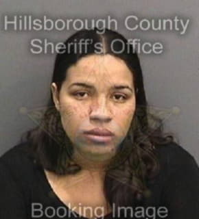 Perez Nikaury - Hillsborough County, Florida 