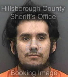 Palacio Sterling - Hillsborough County, Florida 