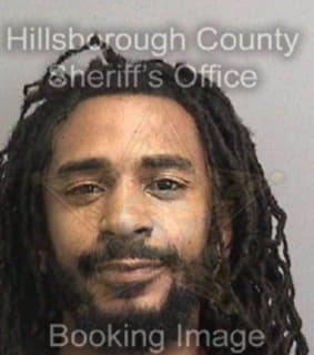 Williams Renaldo - Hillsborough County, Florida 