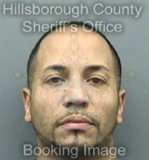 Diaz Victor - Hillsborough County, Florida 