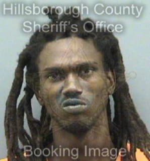 Mitchell Darius - Hillsborough County, Florida 