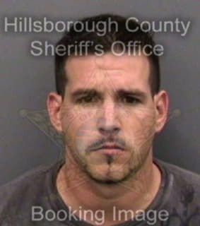 Mcintosh Robert - Hillsborough County, Florida 